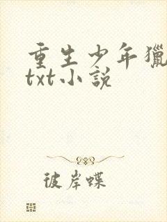 重生少年猎美记txt小说