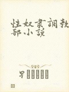 性奴隶调教俱乐部小说封面