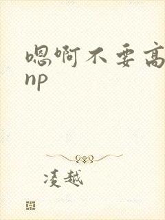 嗯啊不要高h np封面