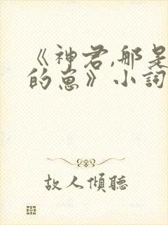《神君,那是你的崽》小词姐姐