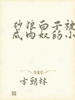 砂狼白子被调教成肉奴的小说