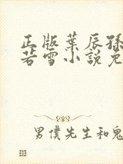 正版叶辰孙怡夏若雪小说免费阅读