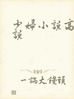少妇小说高h小说
