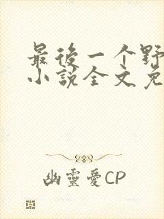 最后一个野茅山小说全文免费阅读封面