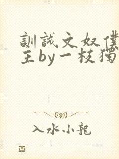 训诫文奴仆双男主by一枝独秀