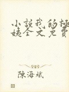 小说我的极品小姨全文免费阅读