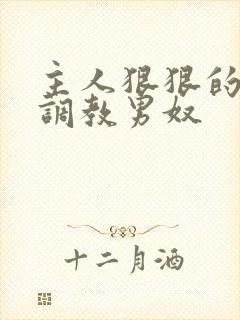 主人狠狠的惩罚调教男奴