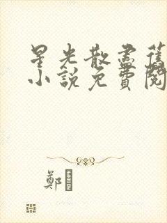 星光散尽旧时意小说免费阅读无弹窗封面