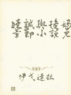 晓诚与后妈全部章节小说免费阅读下