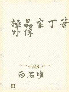 极品家丁萧夫人外传封面