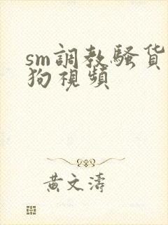 sm调教骚货母狗视频