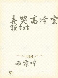 弄哭高冷室友小说txt封面