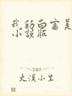 我的白富美老婆小说版