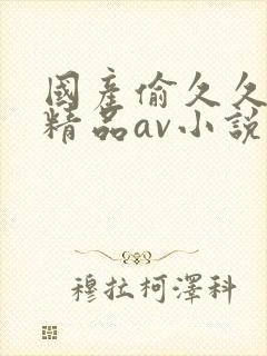 国产偷久久一级精品av小说