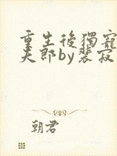 重生后独宠哑巴夫郎by裴寂