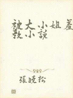 被大小姐羞耻调教小说