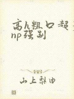 高h粗口超多肉np强制