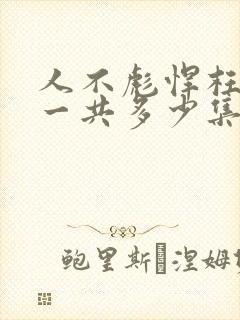 人不彪悍枉少年一共多少集