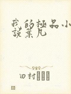 我的极品小姨小说叶凡