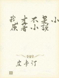 我才不是小可怜原著小说