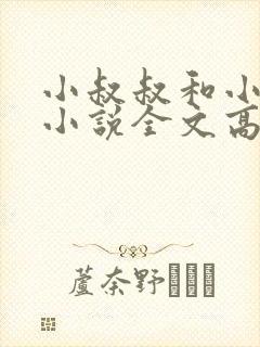 小叔叔和小侄女小说全文高干封面