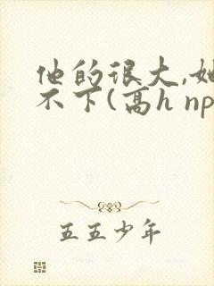 他的很大,她忍不下(高h np)小说