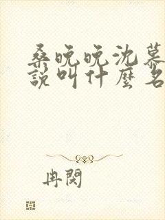 桑晚晚沈慕声小说叫什么名字