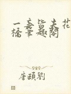 一妾皆夫花卷和桥笔趣阁