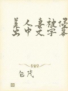 美人妻被侵犯中出中文字幕