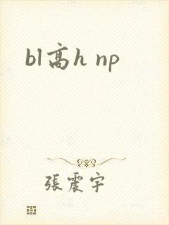 bl高h np封面