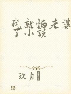 我就怕老婆怎么了小说