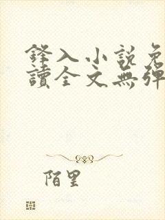 锋入小说免费阅读全文无弹窗