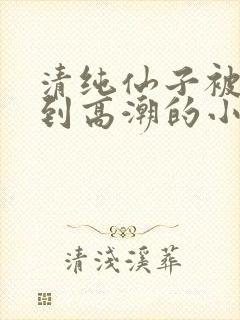 清纯仙子被玩弄到高潮的小说