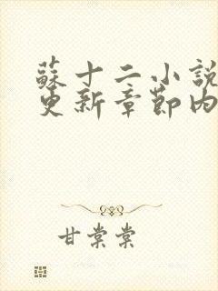 苏十二小说最新更新章节内容