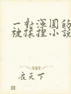 一对浑圆的胸乳被揉捏小说