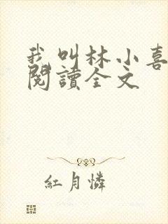 我叫林小喜免费阅读全文