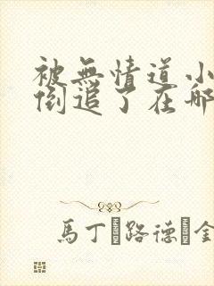 被无情道小师弟倒追了在哪看小说