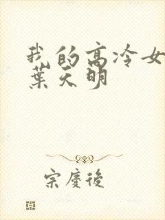 我的高冷女总裁叶天明封面