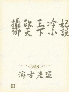 摄政王冷妃之凤御天下小说