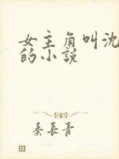 女主角叫沈知意的小说