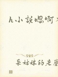 h小说嗯啊不要封面