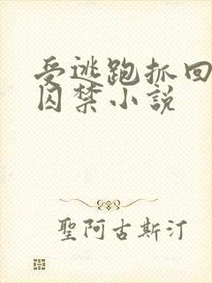 受逃跑抓回惩罚囚禁小说