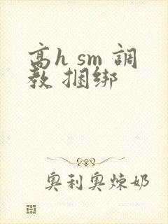 高h sm 调教 捆绑