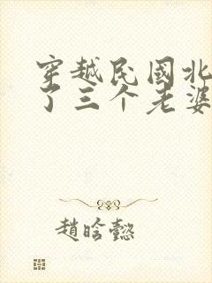 穿越民国北平娶了三个老婆的小说