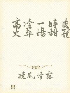 高冷一时爽追妻火葬场甜宠文