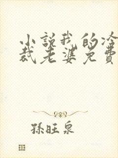 小说我的冷艳总裁老婆免费阅读