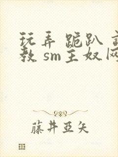 玩弄 跪趴 调教 sm主奴网站