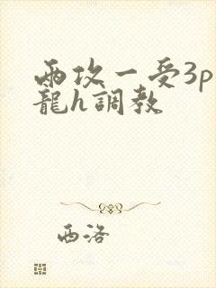 两攻一受3p双龙h调教