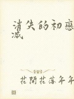 消失的初恋无删减