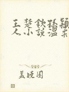 王楚钦孙颖莎同人小说温柔